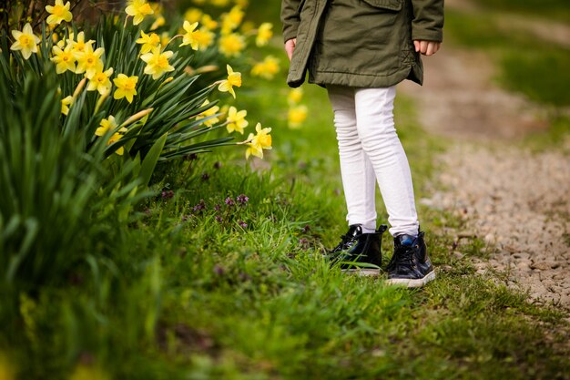 Co na trawę na wiosnę sprawdzi się w ogrodzie?