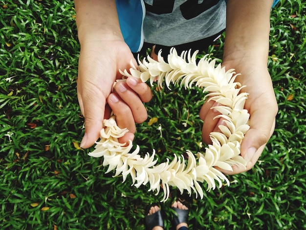 Co sadzić koło siebie w ogrodzie warzywnym?