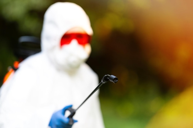 Jak działają opryski na owady w ogrodzie?