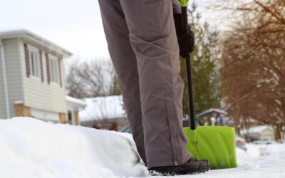 Jak kosić trawnik na zimę żeby nie zaszkodzić murawie?