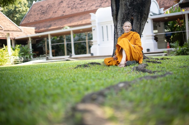 Jak zrobić trawnik przed domem i cieszyć się zieloną przestrzenią?