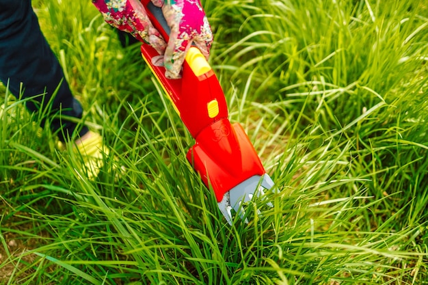 Jak zwalczać chwasty w trawniku bez szkody dla trawy?