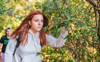 Kiedy podcinać jabłonie żeby zapewnić im zdrowy wzrost?