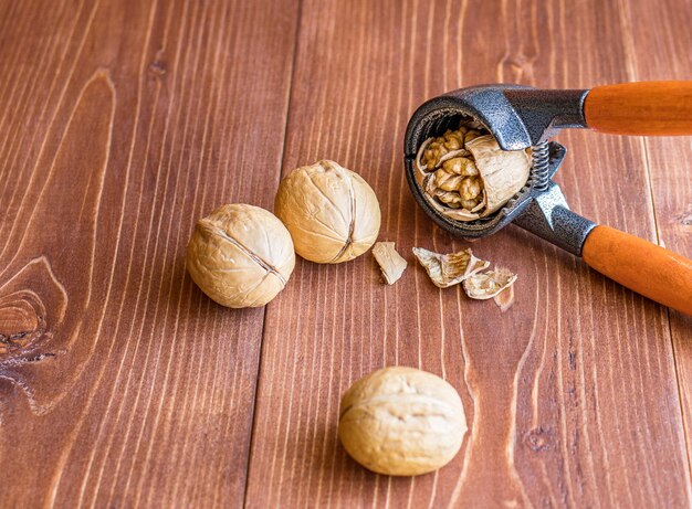 Co zrobić z cebulkami przekwitłych hiacyntów po zakończeniu kwitnienia?