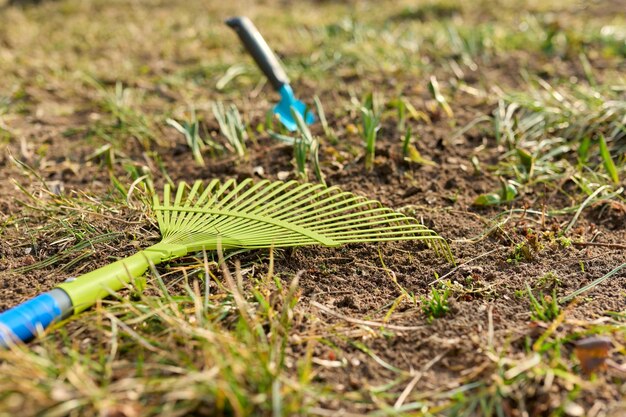 Dosiewanie trawy po zimie kiedy warto rozpocząć prace?