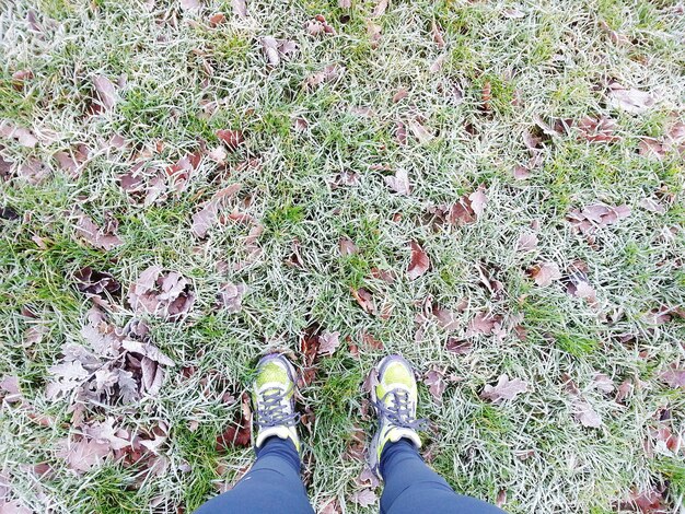 Jak odświeżyć trawnik po zimie, aby znów cieszył oko?