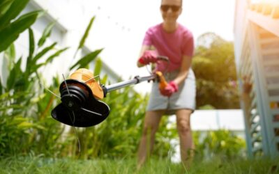 Jak posiać trawę w ogródku żeby cieszyć się zielonym trawnikiem?