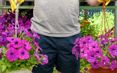 Jakie kwiaty można sadzić w sierpniu aby cieszyć się nimi jesienią?