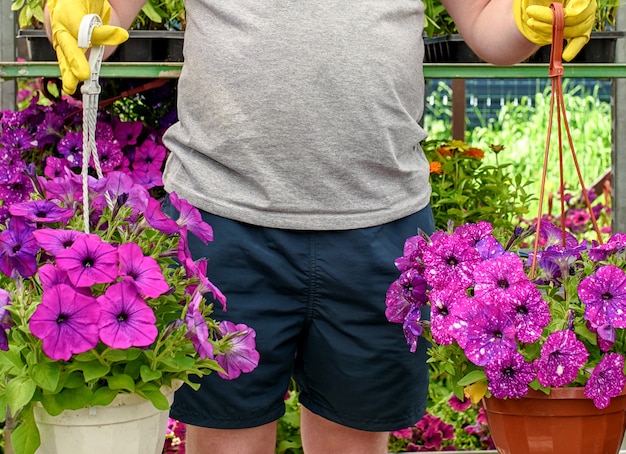 Jakie kwiaty można sadzić w sierpniu aby cieszyć się nimi jesienią?