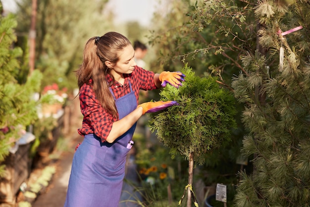 Kiedy ciąć krzewy ozdobne aby cieszyć się pięknym ogrodem?