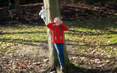 Kiedy można przesadzać drzewka w ogrodzie?