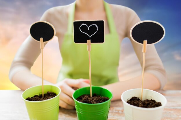 Kiedy sadzić kanie aby cieszyć się udanymi zbiorami?