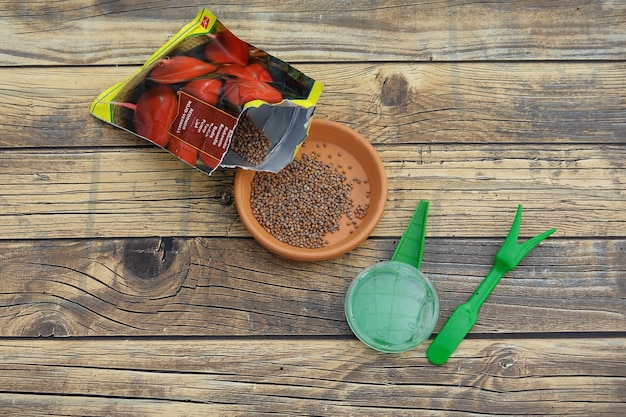 Po ile nasion do rozsady warto wsiewać do doniczek?