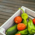 Skrzynia na warzywa czym najlepiej ją wypełnić?
