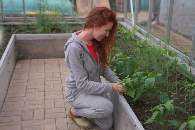 Uprawa mieczyków kiedy sadzić żeby cieszyć się pięknymi kwiatami?