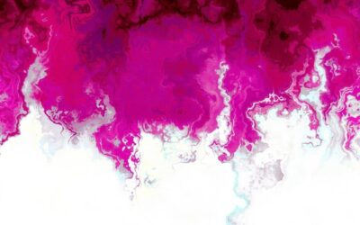 Co posadzić z fuksją aby ogród zyskał kolor?