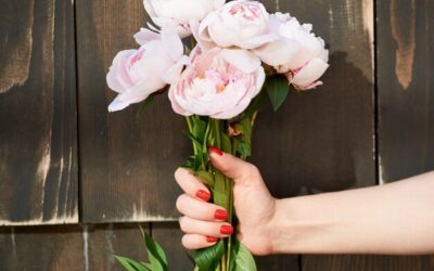 Eustoma co oznacza i jakie ma znaczenie w bukietach?