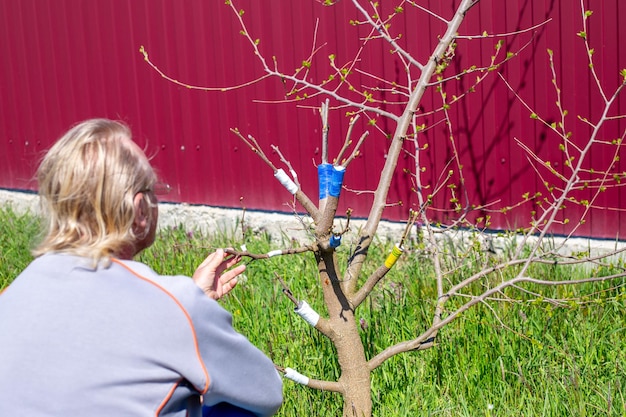 Jakie krzewy sadzimy w kwietniu i dlaczego warto to zrobić właśnie teraz?