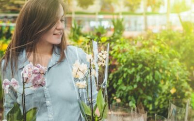 Jakie rośliny na słoneczną rabatę sprawdzą się w Twoim ogrodzie?