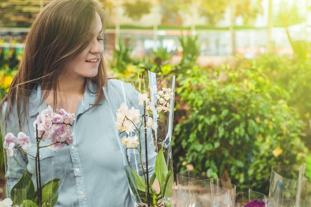 Jakie rośliny na słoneczną rabatę sprawdzą się w Twoim ogrodzie?