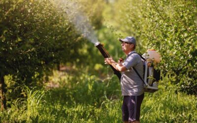 Kiedy opryskiwać rośliny by były zdrowe?