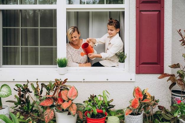 Co posadzić blisko domu, aby cieszyć się zielenią przez cały rok?