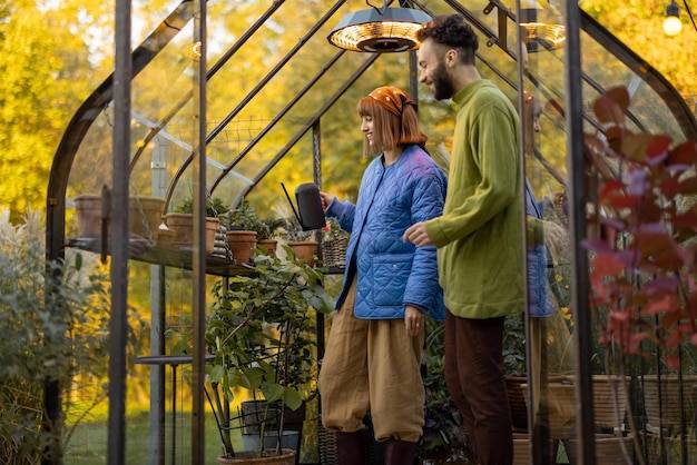 Co sadzić w szklarni we wrześniu aby cieszyć się plonami jesienią?