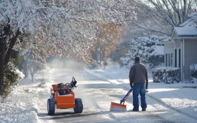 Jak przycinać trawy na zimę żeby nie zaszkodzić roślinom?