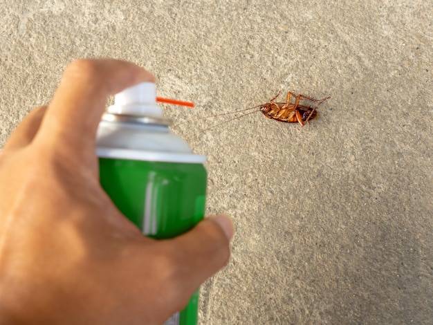 Jaki zapach odstrasza mrówki w domu?