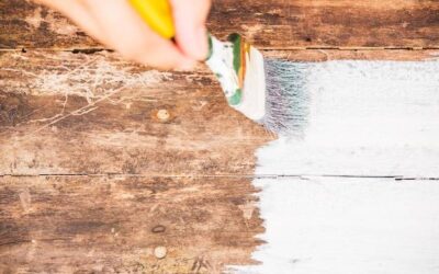 Jakie wapno do malowania drzewek wybrać?