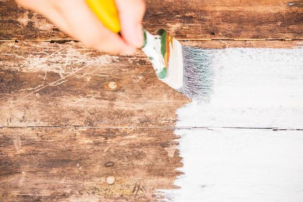 Jakie wapno do malowania drzewek wybrać?