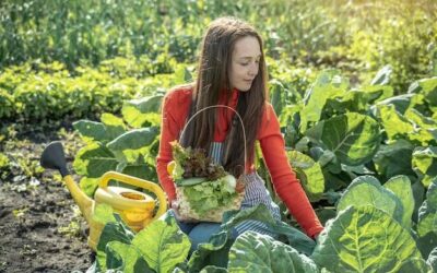 Kiedy pikować warzywa aby cieszyć się zdrowymi plonami?