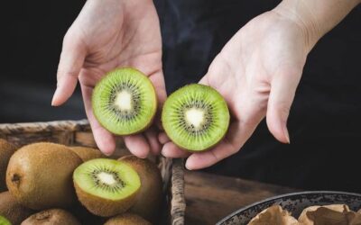 Mini kiwi jaka odmiana najlepszą do uprawy w polskim ogrodzie?