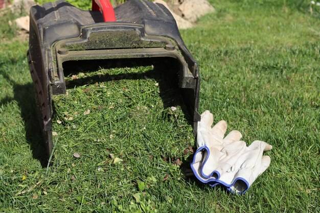 Trawnik z rolki jak pielęgnować żeby długo cieszył oko?