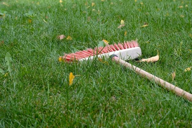 Co pierwsze – aeracja czy wertykulacja trawnika?