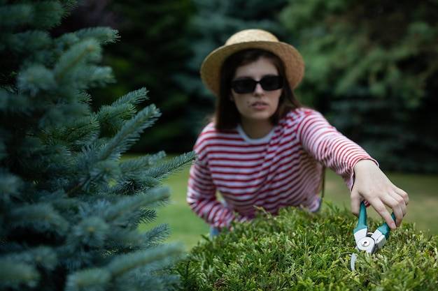 Jak chronić tuje przed sarnami w przydomowym ogrodzie?