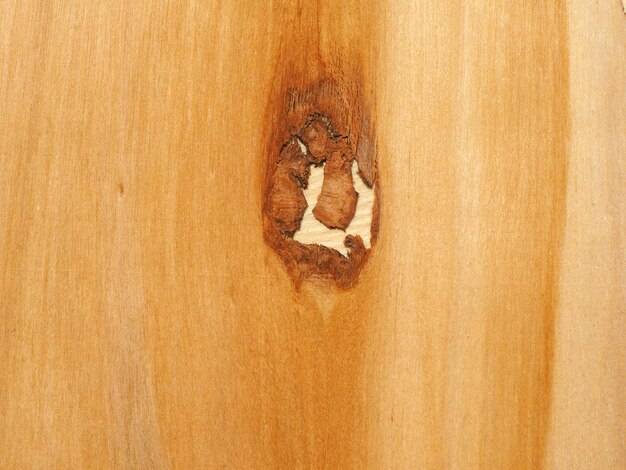 Jak usunąć dziury po kornikach w drewnie?