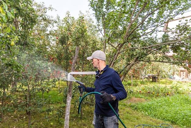 Kiedy pryskać drzewka owocowe na wiosnę aby chronić plony?