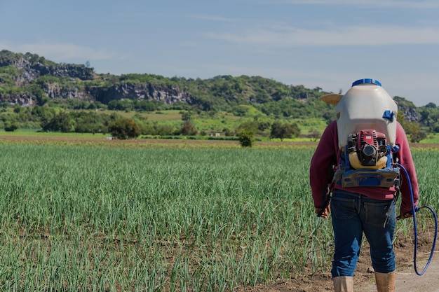 O jakiej porze dnia pryskać randapem dla lepszych efektów?