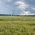 Ogród, działka i uprawa bez chaosu – postaw na sprawdzone rozwiązania