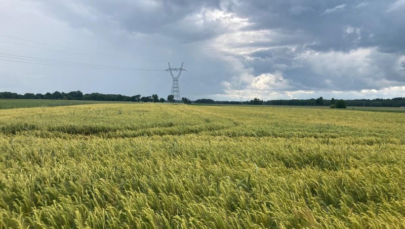 Ogród, działka i uprawa bez chaosu – postaw na sprawdzone rozwiązania
