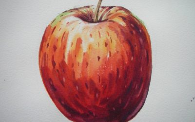 Czy malować drzewka owocowe wapnem?