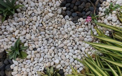 Jaka agrowłóknina pod grys sprawdzi się w ogrodzie?
